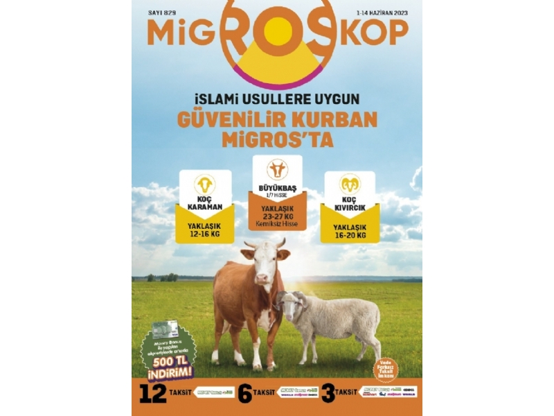 Migros 1 - 14 Haziran Migroskop - 92