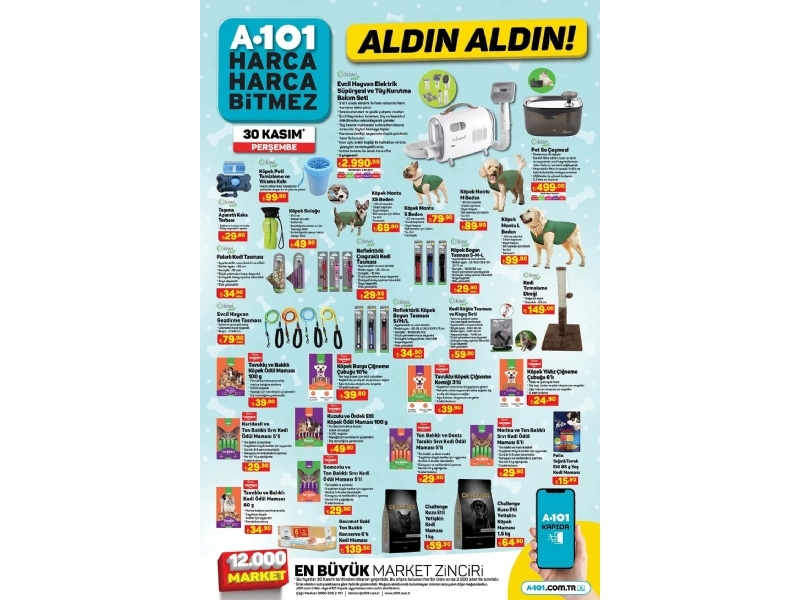 A101 30 Kasm Aldn Aldn - 8