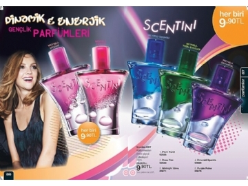 Avon 11. Katalog - 42