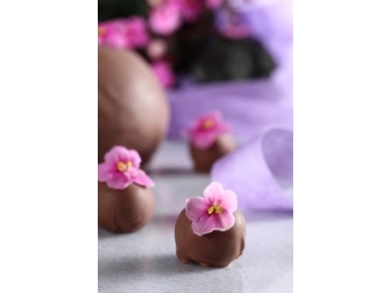 Marie Antoinette Chocolatier - 2