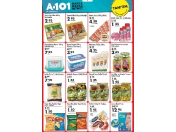 A101 24 - 30 Ocak 2011 Tantm rnleri