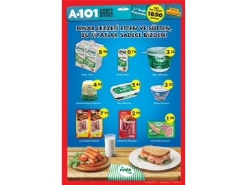 A101 31 Ocak - 3