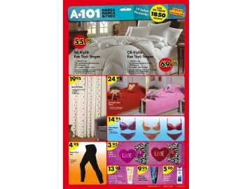 A101 14 ubat - 3