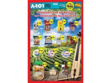 A101 21 ubat - 3