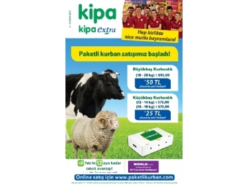 Kipa - 1