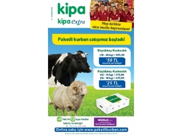 Kipa - 1