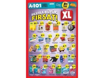 A101 19 Aralk - 3