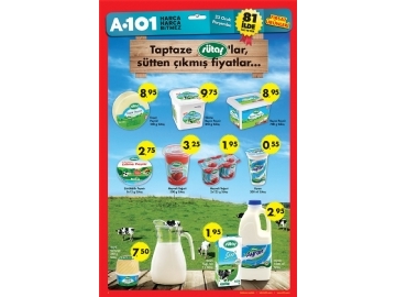 A101 23 Ocak - 4