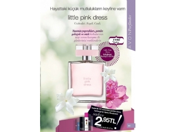 Avon Ocak 2015 Katalou - 111