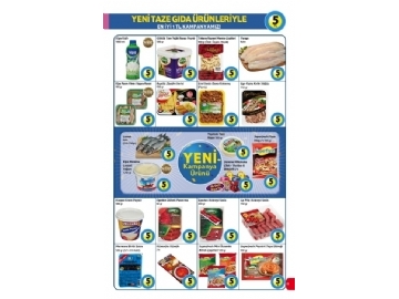 Kipa 1 Ocak 2015 - 11