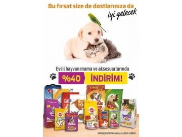 Migros 8 Ocak 2015 - 54