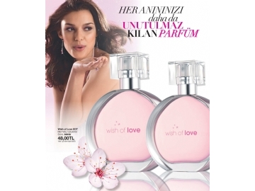 Avon 3. Katalog 2015 - 88