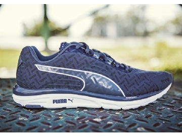 Puma - 7