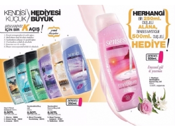 Avon 4 - 24 Temmuz 2015 - 72