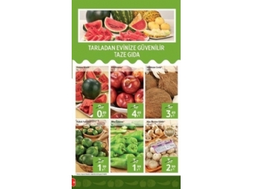 Kipa 17 - 30 Temmuz 2015 - 18