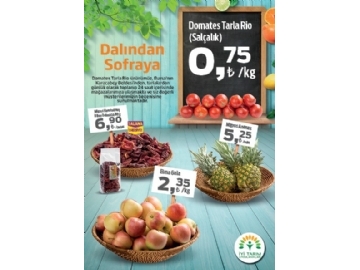 Migros 20 Austos - 2 Eyll 2015 Migroskop Dergisi - 16