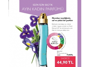 Oriflame Eyll 2015 Katalou - 31