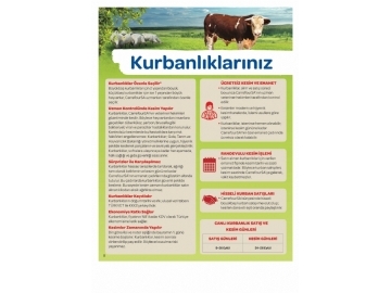 CarrefourSA 12 - 25 Eyll 2015 Katalou - 2