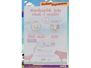 Real 17 - 27 Eyll 2015 - 2