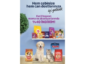 Migros 7 Ocak 2016 - 55