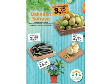 Migros 17 - 30 Mart Migroskop - 9