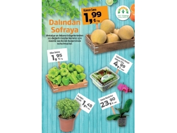 Migros 26 Mays - 8 Haziran - 35