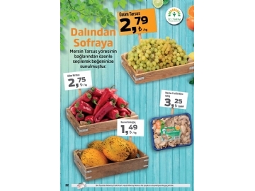 Migros 23 Haziran - 6 Temmuz Migroskop - 22