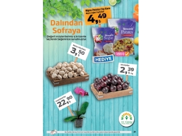 Migros 7-20 Temmuz Migroskop - 17