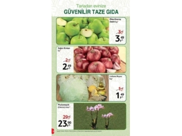 Kipa 12 Eyll - 12 Ekim Katalou - 12