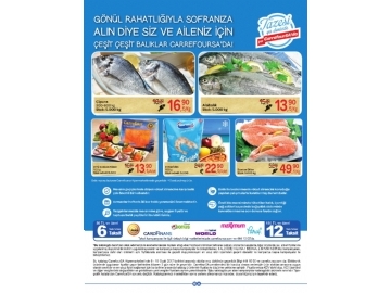 CarrefourSA 6 - 19 Ocak Katalou - 32