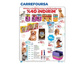 CarrefourSA 15 Temmuz - 2 Austos Katalou - 25