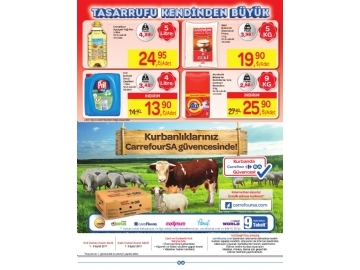 CarrefourSA 15 Temmuz - 2 Austos Katalou - 32