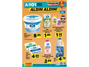 A101 9 Kasm Aldn Aldn - 7