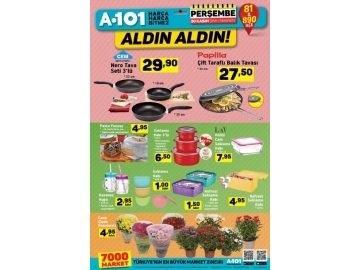 A101 30 Kasm Aldn Aldn - 4