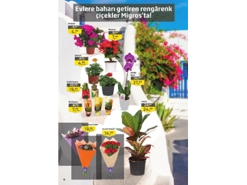 Migros 1 - 14 Mart Migroskop - 59