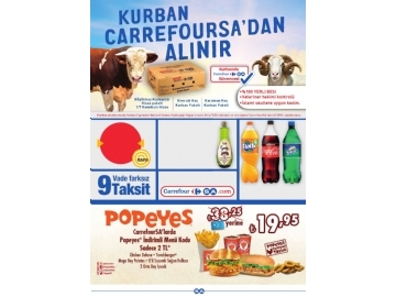 CarrefourSA 19 Temmuz - 8 Austos Katalou - 32