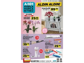 A101 22 Kasm Aldn Aldn - 4