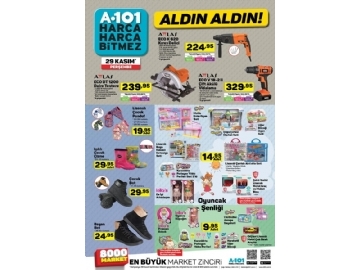 A101 29 Kasm Aldn Aldn - 3