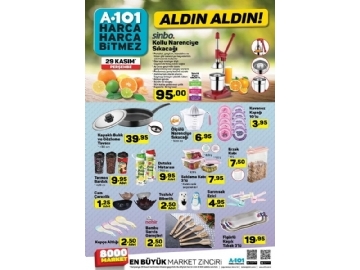 A101 29 Kasm Aldn Aldn - 4