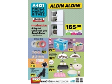 A101 13 Aralk Aldn Aldn - 4