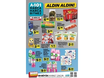 A101 13 Aralk Aldn Aldn - 10