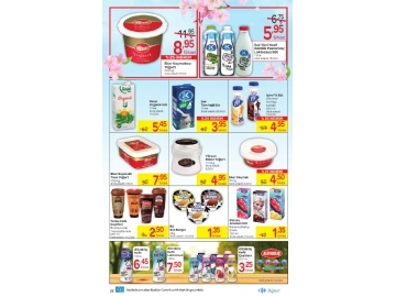 CarrefourSA 28 Mart - 10 Nisan Katalou - 22