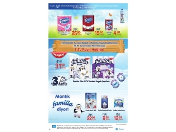 CarrefourSA 28 Mart - 10 Nisan Katalou - 8