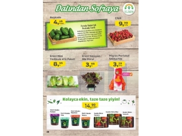 Migros 28 Mart - 10 Nisan Migroskop - 26