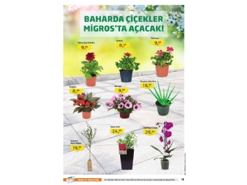 Migros 28 Mart - 10 Nisan Migroskop - 70