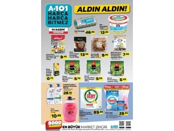 A101 14 Kasm Aldn Aldn - 8