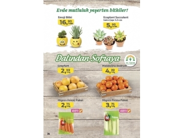 Migros 16 - 29 Ocak Migroskop - 24