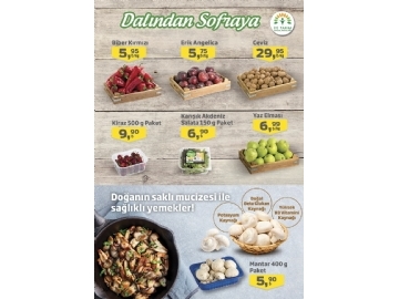 Migros 25 Haziran - 8 Temmuz Migroskop - 16