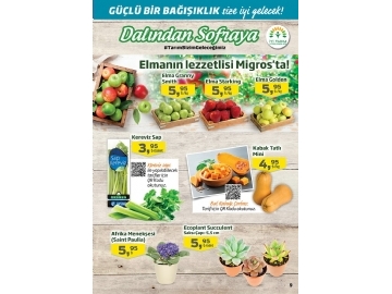 Migros 7 - 20 Ocak Migroskop - 9