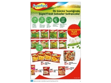 CarrefourSA 28 Ocak  - 10 ubat Katalou - 13